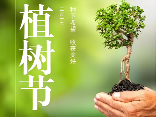 當「海洋森林」遇見植樹節(jié)：以創(chuàng)新織就綠色未來